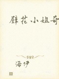 壁花小姐奇遇记