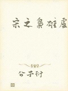 宋之枭雄卢俊义