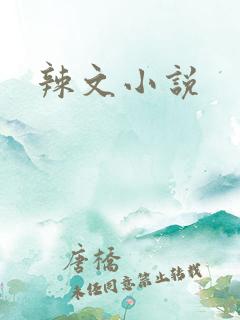辣文小说