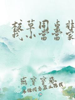 校草同桌非要撩我小当当家