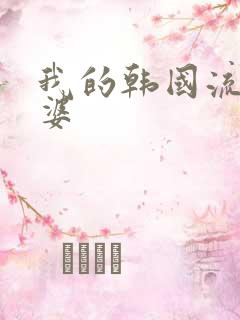 我的韩国流氓老婆