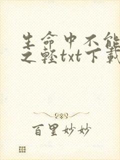 生命中不能承受之轻txt下载