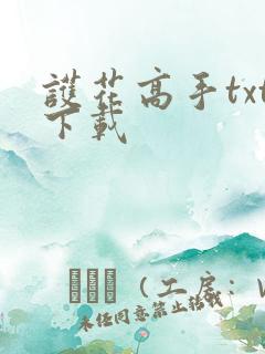 护花高手txt下载