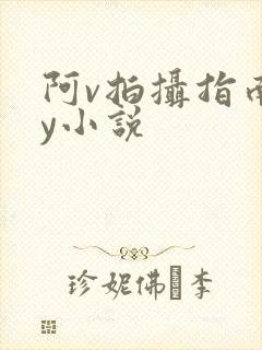 阿v拍摄指南by小说
