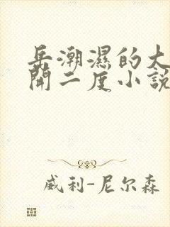 岳潮湿的大肥梅开二度小说