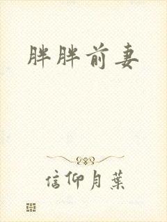 胖胖前妻