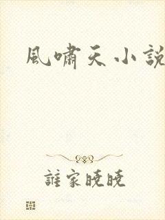 风啸天小说