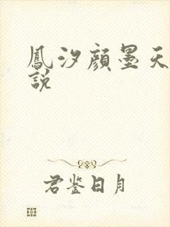 凤汐颜墨天问小说