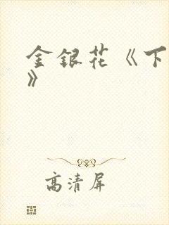 金银花《下厨房》