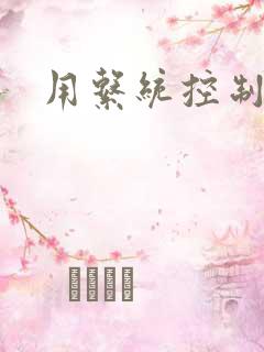 用系统控制女神