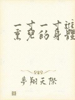 一寸一寸进入萧熏儿的身体里