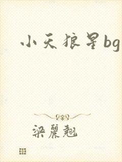 小天狼星bg