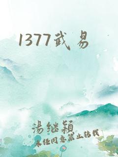 1377武易