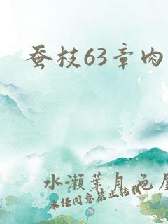 蚕枝63章肉