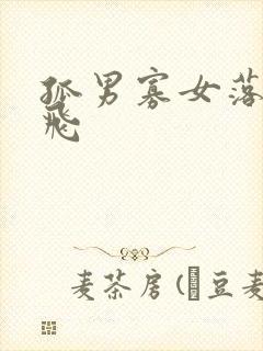 孤男寡女落瑛纷飞