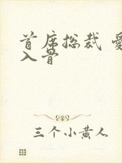 首席总裁 爱你入骨