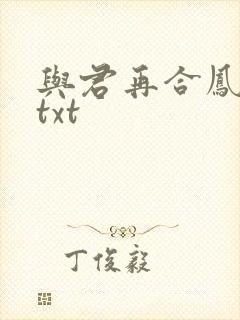 与君再合凤求凰txt