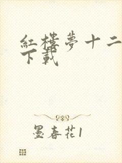 红楼梦十二金钗下载