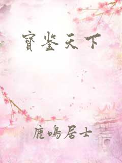 宝鉴天下