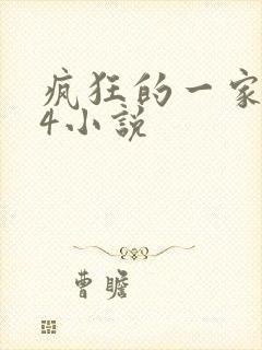 疯狂的一家PS4小说