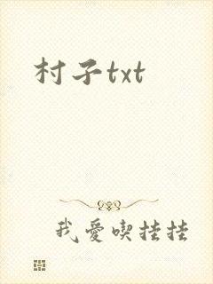 村子txt
