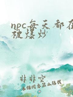 npc每天都在被爆炒