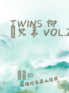 TWINS 柳澤兄弟 VOL.2