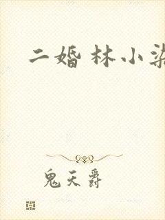 二婚 林小染