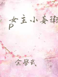 女主小妾卫府NP