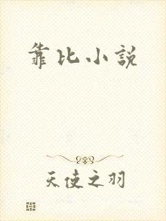 靠比小说