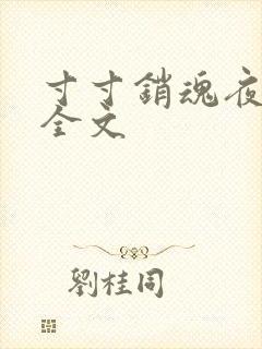 寸寸销魂夜春光全文