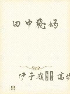 田中飞妈