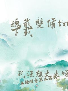 魂武双修txt下载