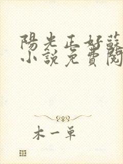 阳光正好苏玥玥小说免费阅读