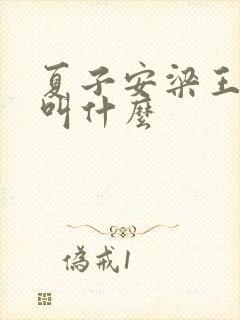 夏子安梁王书名叫什么