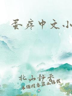 蛋疼中文小说网