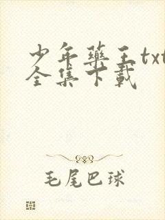 少年药王txt全集下载