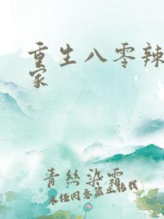 重生八零辣妻当家