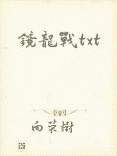 镜龙战txt