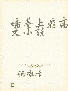 娇养上瘾高H爽文小说