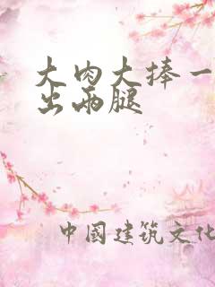 大肉大捧一进一出两腿