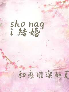 sho nagi 结婚