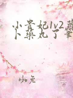小贵妃1v2萝卜药丸了笔趣阁