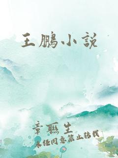 王鹏小说