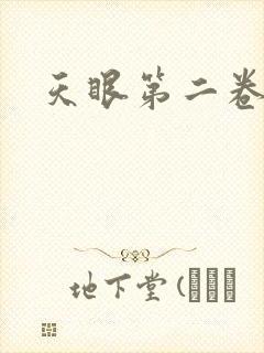天眼第二卷