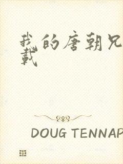 我的唐朝兄弟下载