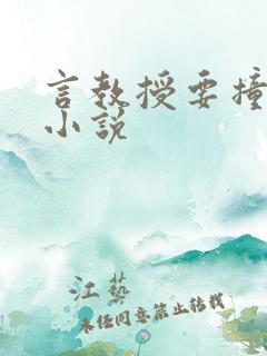言教授要撞坏了小说