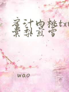 蜜汁肉桃txt棠梨煎雪