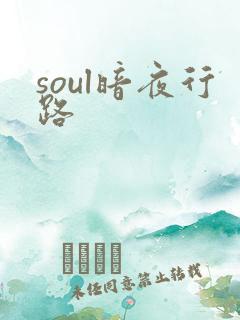 soul暗夜行路