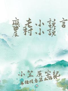 恋老小说言情网农村小说